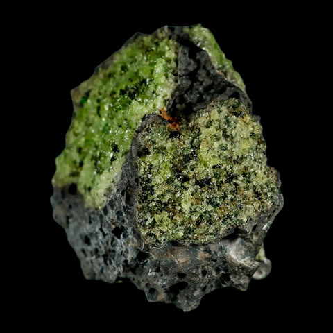 XL 3.2" Natural Emerald Peridot Crystal Minerals On Volcanic Rock Gila, Arizona - Fossil Age Minerals