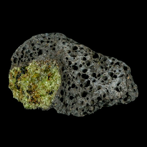 XL 4.4" Natural Emerald Peridot Crystal Minerals On Volcanic Rock Gila, Arizona - Fossil Age Minerals