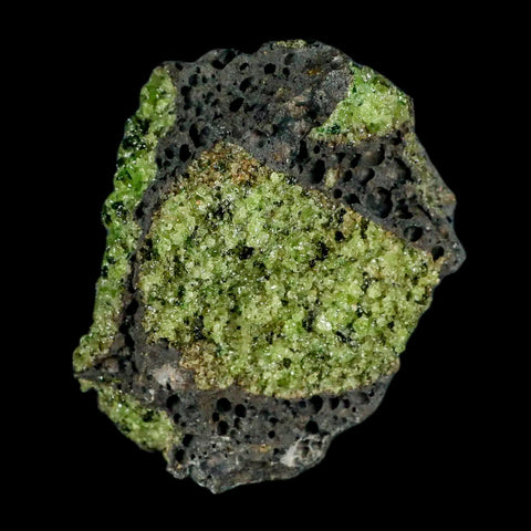 XL 4.1" Natural Emerald Peridot Crystal Minerals On Volcanic Rock Gila, Arizona - Fossil Age Minerals