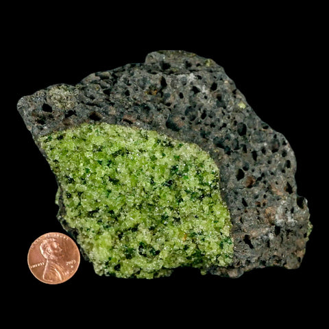 XL 4.7" Natural Emerald Peridot Crystal Minerals On Volcanic Rock Gila, Arizona - Fossil Age Minerals