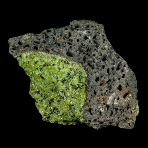 XL 4.7" Natural Emerald Peridot Crystal Minerals On Volcanic Rock Gila, Arizona - Fossil Age Minerals