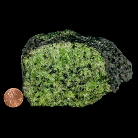 XL 4.2" Natural Emerald Peridot Crystal Minerals On Volcanic Rock Gila, Arizona - Fossil Age Minerals