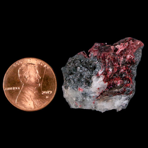 2" Erythrite Pink Cobalt Crystal Mineral Specimen Atlas Mountains, Morocco - Fossil Age Minerals