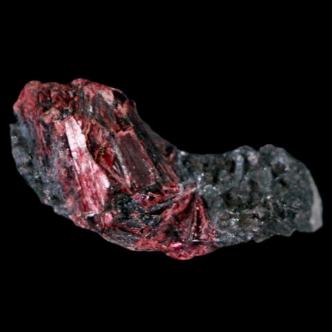 2" Erythrite Pink Cobalt Crystal Mineral Specimen Atlas Mountains, Morocco - Fossil Age Minerals