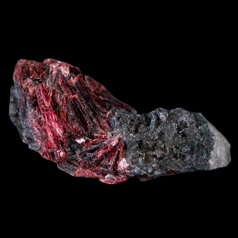 2" Erythrite Pink Cobalt Crystal Mineral Specimen Atlas Mountains, Morocco - Fossil Age Minerals