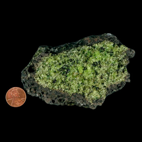 XL 4.2" Natural Emerald Peridot Crystal Minerals On Volcanic Rock Gila, Arizona - Fossil Age Minerals