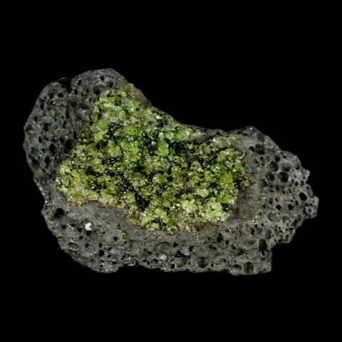 XL 3.9" Natural Emerald Peridot Crystal Minerals On Volcanic Rock Gila, Arizona - Fossil Age Minerals