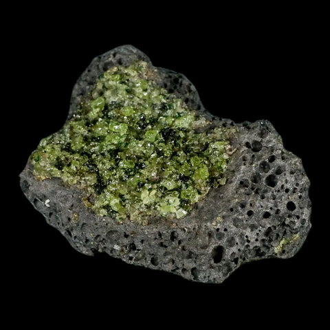 XL 3.9" Natural Emerald Peridot Crystal Minerals On Volcanic Rock Gila, Arizona - Fossil Age Minerals