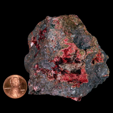 2.7" Erythrite Pink Cobalt Crystal Mineral Specimen Atlas Mountains, Morocco - Fossil Age Minerals