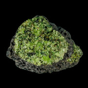 XL 3.8" Natural Emerald Peridot Crystal Minerals On Volcanic Rock Gila, Arizona