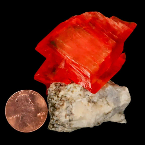 2.1" Stunning Bright Orange Arcanite Crystal Mineral Specimen From Poland - Fossil Age Minerals