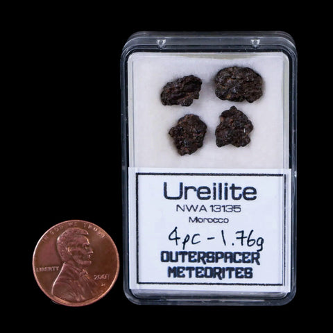 Ureilite NWA 13135 Meteorite Specimen Display Morocco Sahara Desert 1.76 Grams - Fossil Age Minerals