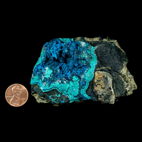 3.4" Chrysocolla Malachite Rare Botryoidal Grape Crystal Teal And Green From Peru - Fossil Age Minerals