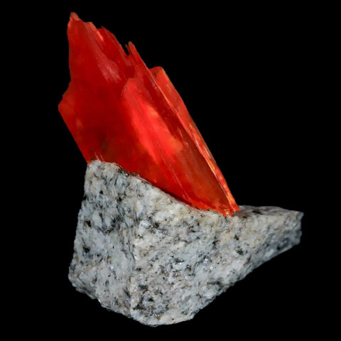2.3" Stunning Bright Orange Arcanite Crystal Mineral Specimen From Poland - Fossil Age Minerals