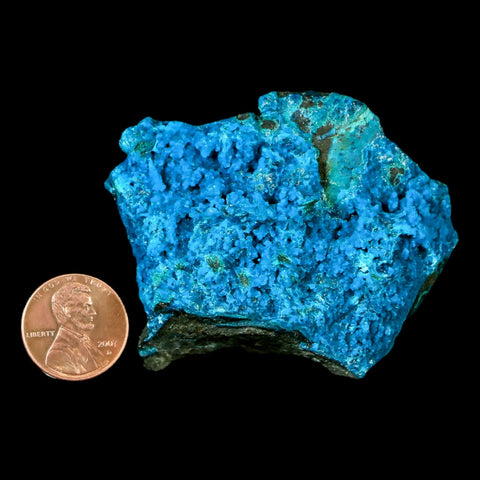 2.3" Chrysocolla Malachite Rare Botryoidal Grape Crystal Teal And Green From Peru - Fossil Age Minerals