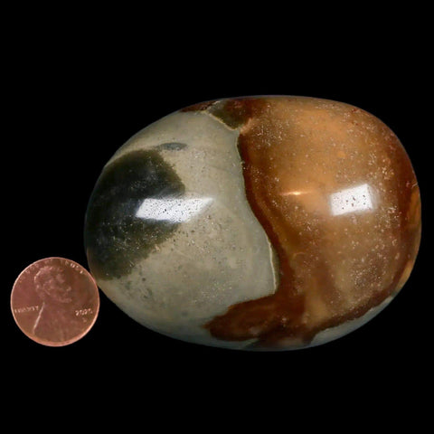 2.8" Polychrome Jasper Natural Polished Mineral Palm Stone Madagascar - Fossil Age Minerals