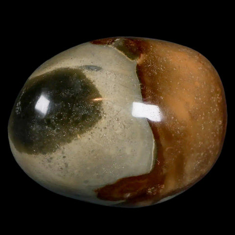 2.8" Polychrome Jasper Natural Polished Mineral Palm Stone Madagascar - Fossil Age Minerals