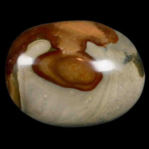 2.8" Polychrome Jasper Natural Polished Mineral Palm Stone Madagascar - Fossil Age Minerals