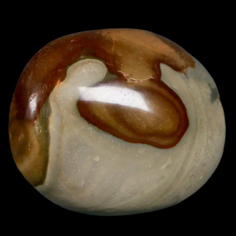 2.8" Polychrome Jasper Natural Polished Mineral Palm Stone Madagascar - Fossil Age Minerals