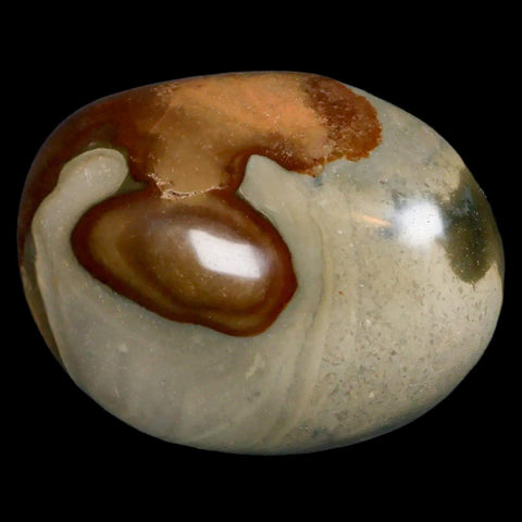 2.8" Polychrome Jasper Natural Polished Mineral Palm Stone Madagascar - Fossil Age Minerals