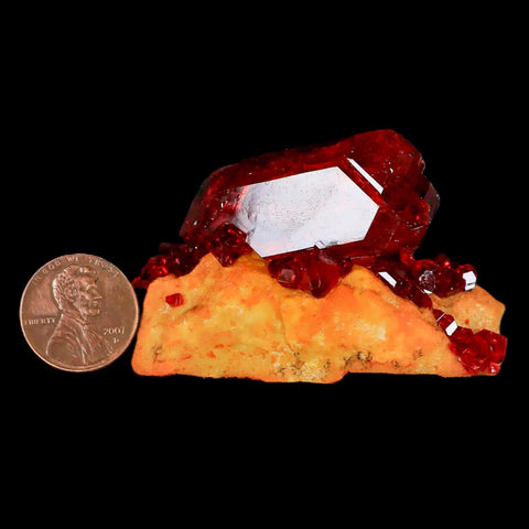 2.3" Stunning Red Pruskite Yellow Base Crystal Mineral Specimen From Poland - Fossil Age Minerals