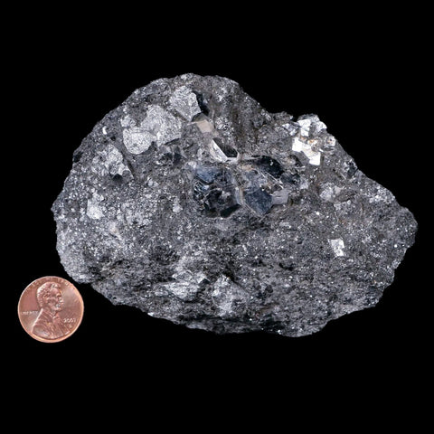 3.9" Silver Nickel Metallic Skutterudite Crystal Mineral Aghar Mine Morocco Arsenide - Fossil Age Minerals