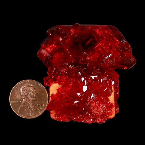 1.9" Stunning Red Pruskite Yellow Base Crystal Mineral Specimen From Poland - Fossil Age Minerals