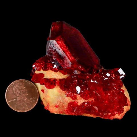 2.3" Stunning Red Pruskite Yellow Base Crystal Mineral Specimen From Poland - Fossil Age Minerals