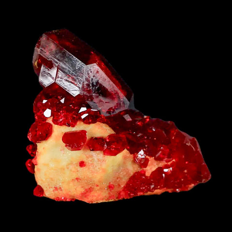 2.3" Stunning Red Pruskite Yellow Base Crystal Mineral Specimen From Poland - Fossil Age Minerals