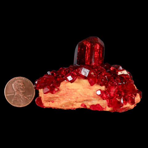 2.6" Stunning Red Pruskite Yellow Base Crystal Mineral Specimen From Poland - Fossil Age Minerals