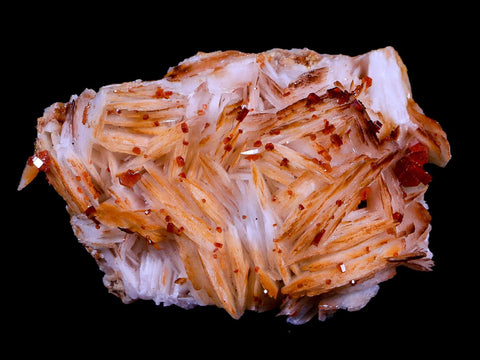 2.5" Sparkly Red Vanadinite Crystals Orange Barite Blades Mineral Mabladen Morocco - Fossil Age Minerals