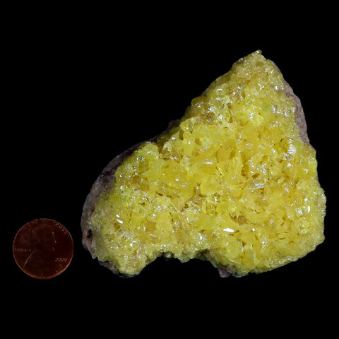 3.1" Rough Bright Yellow Sulfur Crystal Cluster On Matrix El Desierto Mine Bolivia - Fossil Age Minerals