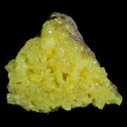 2.7" Rough Bright Yellow Sulfur Crystal Cluster On Matrix El Desierto Mine Bolivia