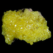 3.2" Rough Bright Yellow Sulfur Crystal Cluster On Matrix El Desierto Mine Bolivia