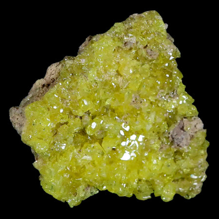 3.7" Rough Bright Yellow Sulfur Crystal Cluster On Matrix El Desierto Mine Bolivia