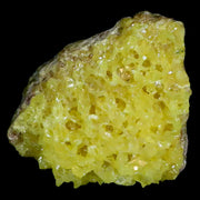 2.8" Rough Bright Yellow Sulfur Crystal Cluster On Matrix El Desierto Mine Bolivia