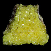 2.1" Rough Bright Yellow Sulfur Crystal Cluster On Matrix El Desierto Mine Bolivia