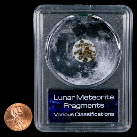 Moon Rock Lunar Meteorite Fragments Various Classifications Outer Space COA - Fossil Age Minerals