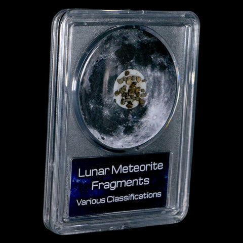 Moon Rock Lunar Meteorite Fragments Various Classifications Outer Space COA - Fossil Age Minerals