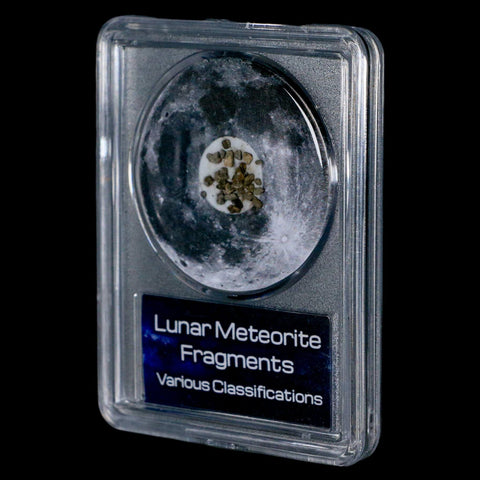 Moon Rock Lunar Meteorite Fragments Various Classifications Outer Space COA - Fossil Age Minerals