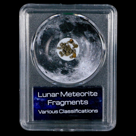 Moon Rock Lunar Meteorite Fragments Various Classifications Outer Space COA