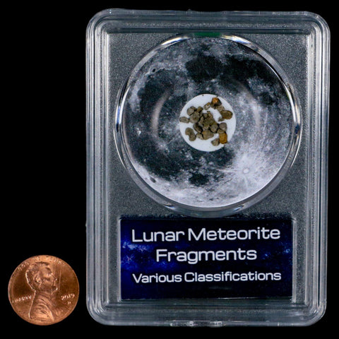 Moon Rock Lunar Meteorite Fragments Various Classifications Outer Space COA