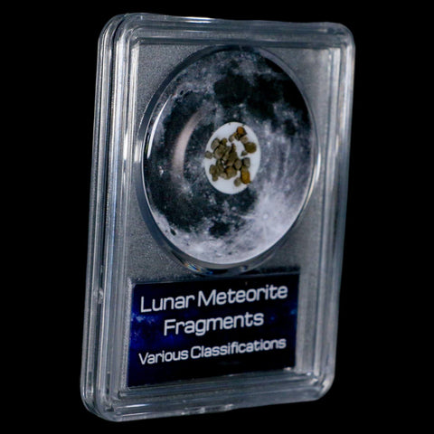 Moon Rock Lunar Meteorite Fragments Various Classifications Outer Space COA