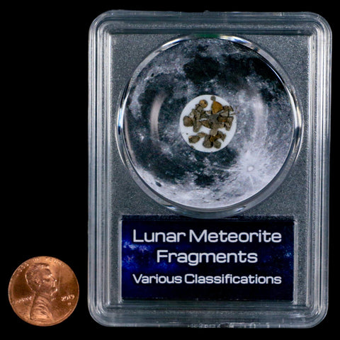 Moon Rock Lunar Meteorite Fragments Various Classifications Outer Space COA