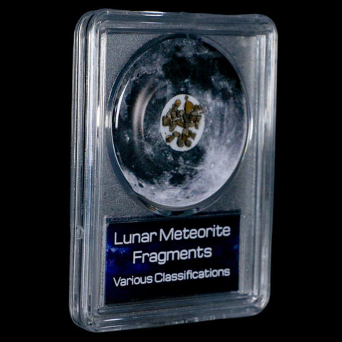 Moon Rock Lunar Meteorite Fragments Various Classifications Outer Space COA