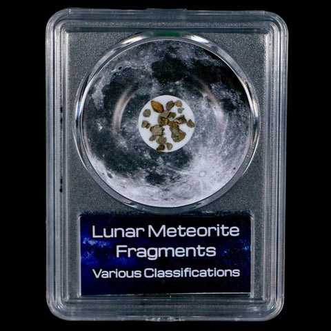 Moon Rock Lunar Meteorite Fragments Various Classifications Outer Space COA