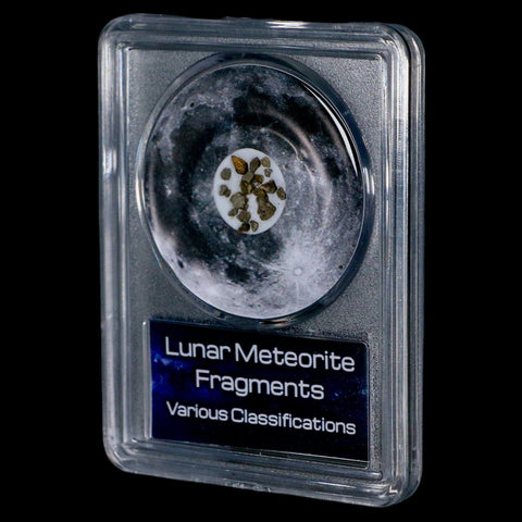 Moon Rock Lunar Meteorite Fragments Various Classifications Outer Space COA