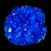 1.8" Electric Blue Chalcanthite Mineral Crystal Specimen Location Poland SokolowskI