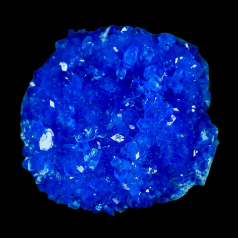 1.8" Electric Blue Chalcanthite Mineral Crystal Specimen Location Poland SokolowskI - Fossil Age Minerals