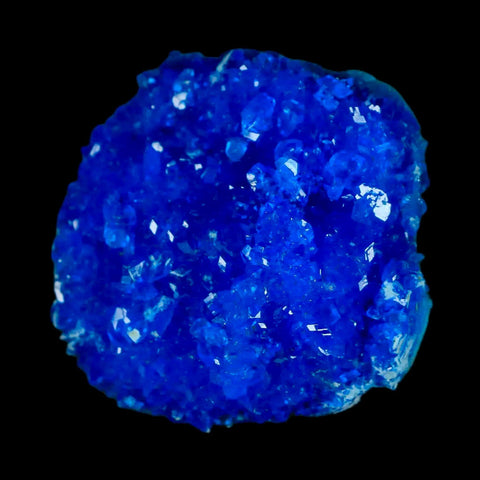 1.8" Electric Blue Chalcanthite Mineral Crystal Specimen Location Poland SokolowskI - Fossil Age Minerals